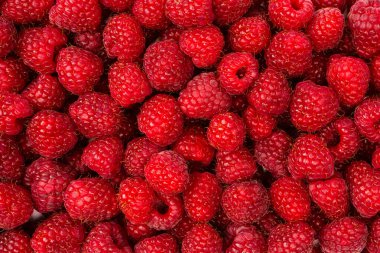 Arka plan olarak lezzetli taze ahududu. Üst görünüm.  