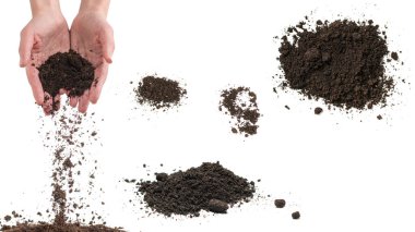 Brown soil in woman hands isolated on white background. The soil falls out of hand. clipart