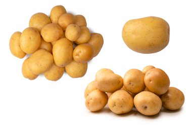 A group of fresh tasty potato isolated on a white background. 