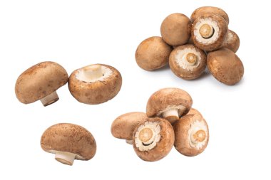 Beyaz arka planda izole edilmiş lezzetli mantar..