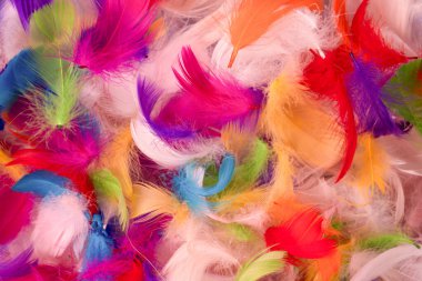 Renkli tüy arka plan, üst manzara. Boşluğu kopyala.