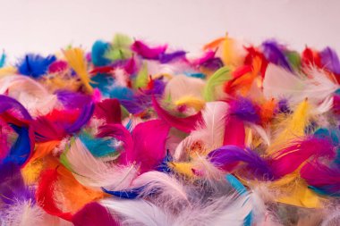 Renkli tüy arka plan, üst manzara. Boşluğu kopyala.