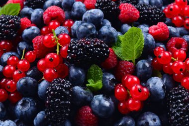 Blackberry, ahududu, yabanmersini, kırmızı frenk üzümü ve nane arkaplanı. 