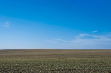 Arkaplan olarak sürülmüş tarla ve mavi gökyüzü. 