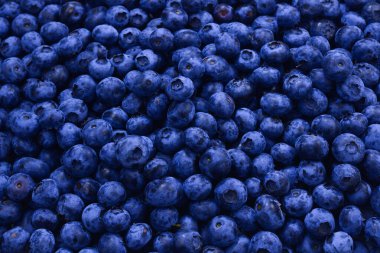 Taze yaban mersini arkaplanı. Doku yaban mersini yakından geliyor..