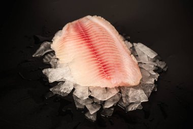 Taze tilapia fileto buzlu, siyah arkaplanda.