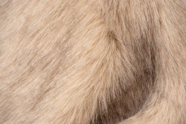 Arka plan olarak sahte kürk dokusu, üst görünüm.