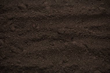 Bitkiler için kara toprak. Üst görünüm. 