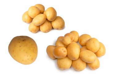 A group of fresh tasty potato isolated on a white background. 