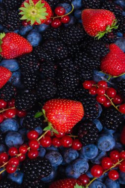 Blackberry, ahududu, yabanmersini, fonda kırmızı frenk üzümü. Üst görünüm. 