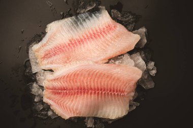 Taze tilapia fileto buzlu, siyah arkaplanda.