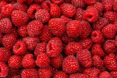 Arka plan olarak lezzetli taze ahududu. Üst görünüm.  