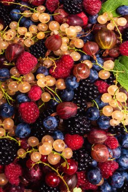 Bektaşi üzümü, yabanmersini, dut, ahududu, beyaz ve kırmızı frenk üzümü arka plan. 