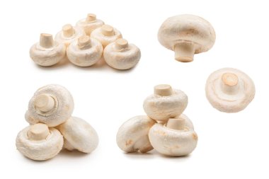 Şampiyon mantarı beyaz arka planda izole edilmiş. Üst görünüm. 