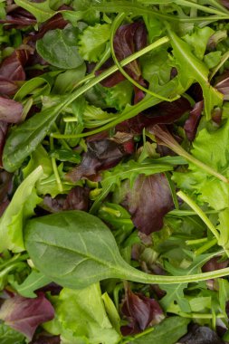 Arka plan olarak taze salata karışımı. Üst görünüm. 