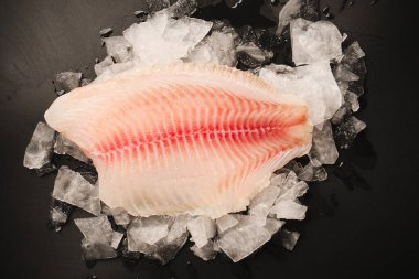 Taze tilapia fileto buzlu, siyah arkaplanda.