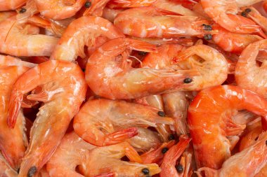 Karides arkaplan dokusu. Bir sürü karides. Pişmiş karides.. 