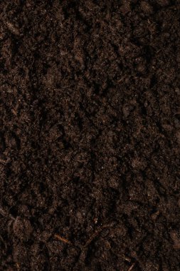 Bitkiler için kara toprak. Üst görünüm. 