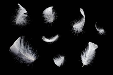 Siyah bir arkaplanda beyaz yüzen tüy izole. 