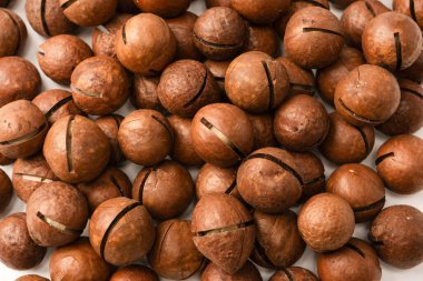 Beyaz arka planda izole edilmiş kabuklu Macadamia fındıkları. Üst görünüm.
