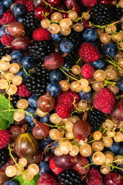 Bektaşi üzümü, yabanmersini, dut, ahududu, beyaz ve kırmızı frenk üzümü arka plan. 