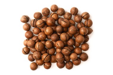 Beyaz arka planda izole edilmiş kabuklu Macadamia fındıkları. Üst görünüm.