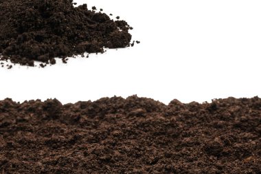 Beyaz arka planda izole edilmiş bitkiler için kara toprak. 