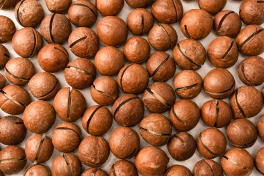 Beyaz arka planda izole edilmiş kabuklu Macadamia fındıkları. Üst görünüm.