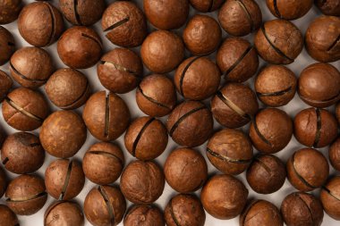 Beyaz arka planda izole edilmiş kabuklu Macadamia fındıkları. Üst görünüm.