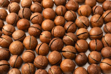 Beyaz arka planda izole edilmiş kabuklu Macadamia fındıkları. Üst görünüm.