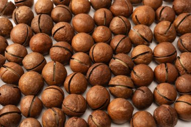 Beyaz arka planda izole edilmiş kabuklu Macadamia fındıkları. Üst görünüm.