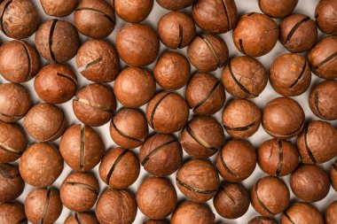 Beyaz arka planda izole edilmiş kabuklu Macadamia fındıkları. Üst görünüm.