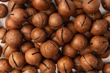 Beyaz arka planda izole edilmiş kabuklu Macadamia fındıkları. Üst görünüm.