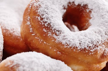 pudra şekeri huysuz donuts portre