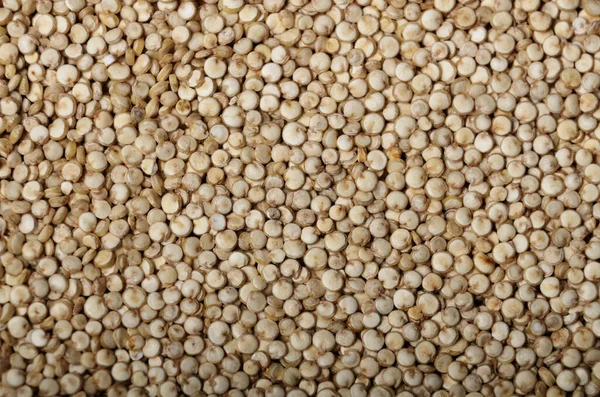 Superaliment Cru Biologique Sans Gluten Graines Quinoa Gros Plan — Photo