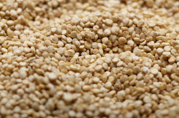 stock image Raw organic superfood gluten free quinoa seeds closeup