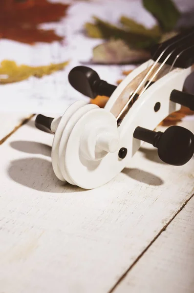 葉の白いバイオリン乾燥オークの表示を閉じると音符の木製のテーブルの上 — ストック写真