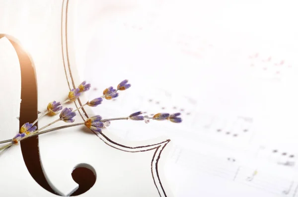 Close View Violin Musical Notes Dry Lavender White — Stock Photo, Image