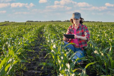 Orta yaşlı kadın Kafkasyalı çiftçi elinde tablet bilgisayarla tarlada inceleme için diz çöktü.