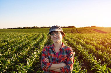 Orta yaşlı, beyaz, kendinden emin, kollarını kavuşturmuş çiftçi kadın mısır tarlasında duruyor.