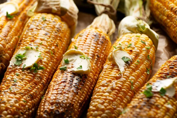 Grilled Sweet Corn Cobs Butter Seasoned Cilantro Closeup Low Angle Royalty Free Stock Images