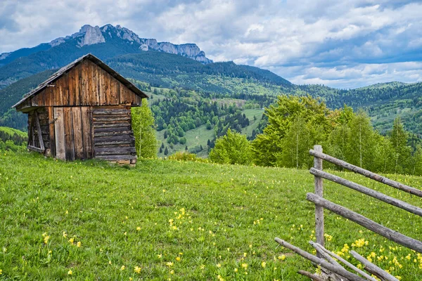 春天期间 罗马尼亚喀尔巴阡山脉盛开的牧场上的木制小木屋 — 图库照片
