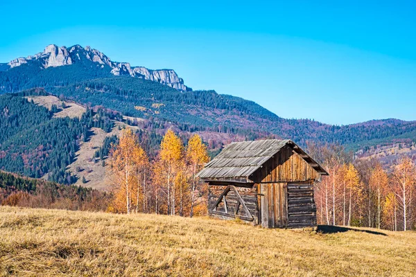 루마니아 카르파티아의 언덕에 의나무 오두막집 — 스톡 사진