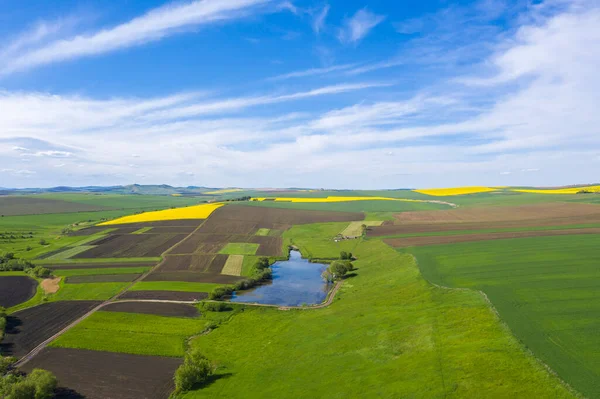 Aerial View Spring Fields Rural Area Canola Cereal Fields — Stock Photo, Image