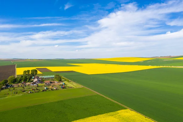 Fresh Color Cultivated Fields Springtime Viewed — Stock Photo, Image