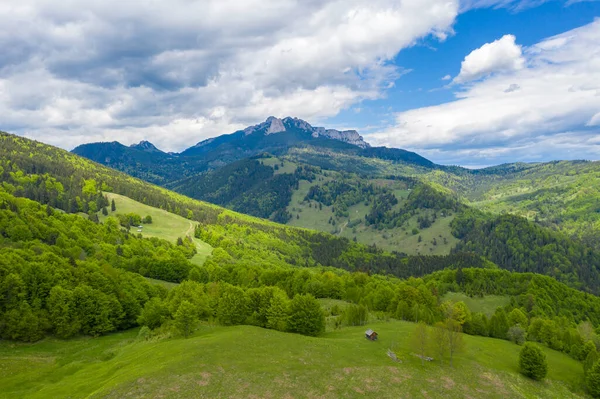 Widok Powietrza Świeży Zielony Las Karpatach Rumuńskich Małe Domki Wzgórzu — Zdjęcie stockowe