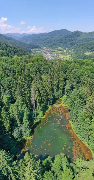 Widok Lotu Ptaka Staw Leśny Dolinę Górską Krajobraz Karpat Rumuńskich — Zdjęcie stockowe