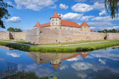 Fagaras Kalesi (Rumence: Fagaras Castle, Cetatea Fagarasului) Romanya 'nın Transilvanya kentinin Fagaras kentinde yer alan tarihi bir kaledir. En büyük ve en iyi korunmuş ortaçağ kalelerinden biridir. 