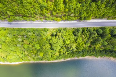 Yaz ormanı yolu ve nehir körüğünün üstünde
