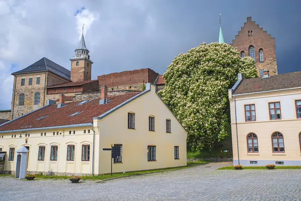 Akershus Kalesi, Norveç 'in başkenti Oslo' da bulunan bir ortaçağ kalesidir. Kale 13. yüzyılın sonlarına doğru kenti korumak amacıyla inşa edildi ve 17. yüzyılın başlarına kadar Norveç kraliyet ailesinin ikametgahıydı. Şey... 